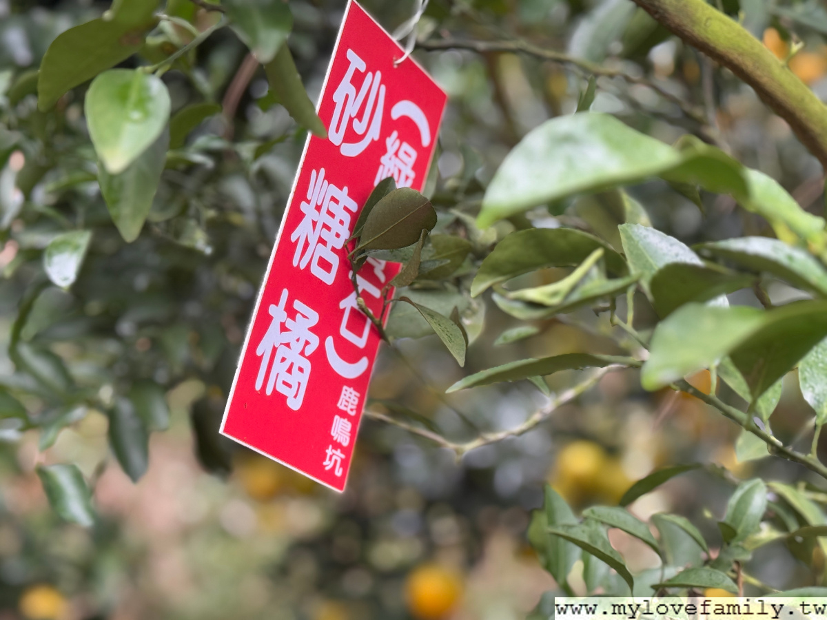 【鹿鳴坑綜合觀光果園】