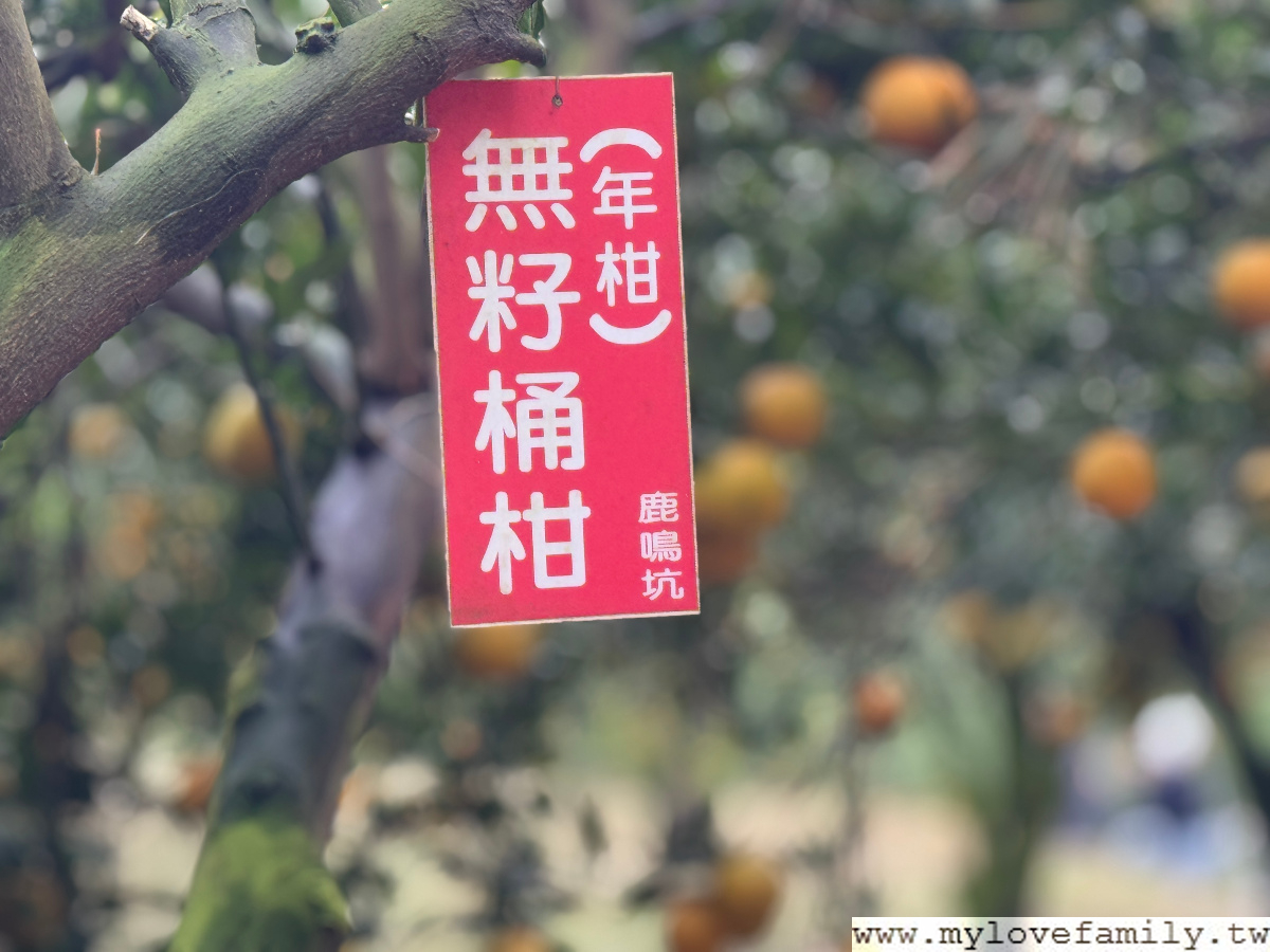【鹿鳴坑綜合觀光果園】