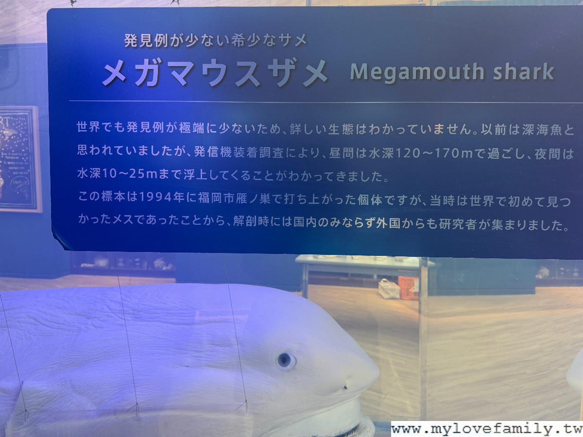 海之中道海洋世界