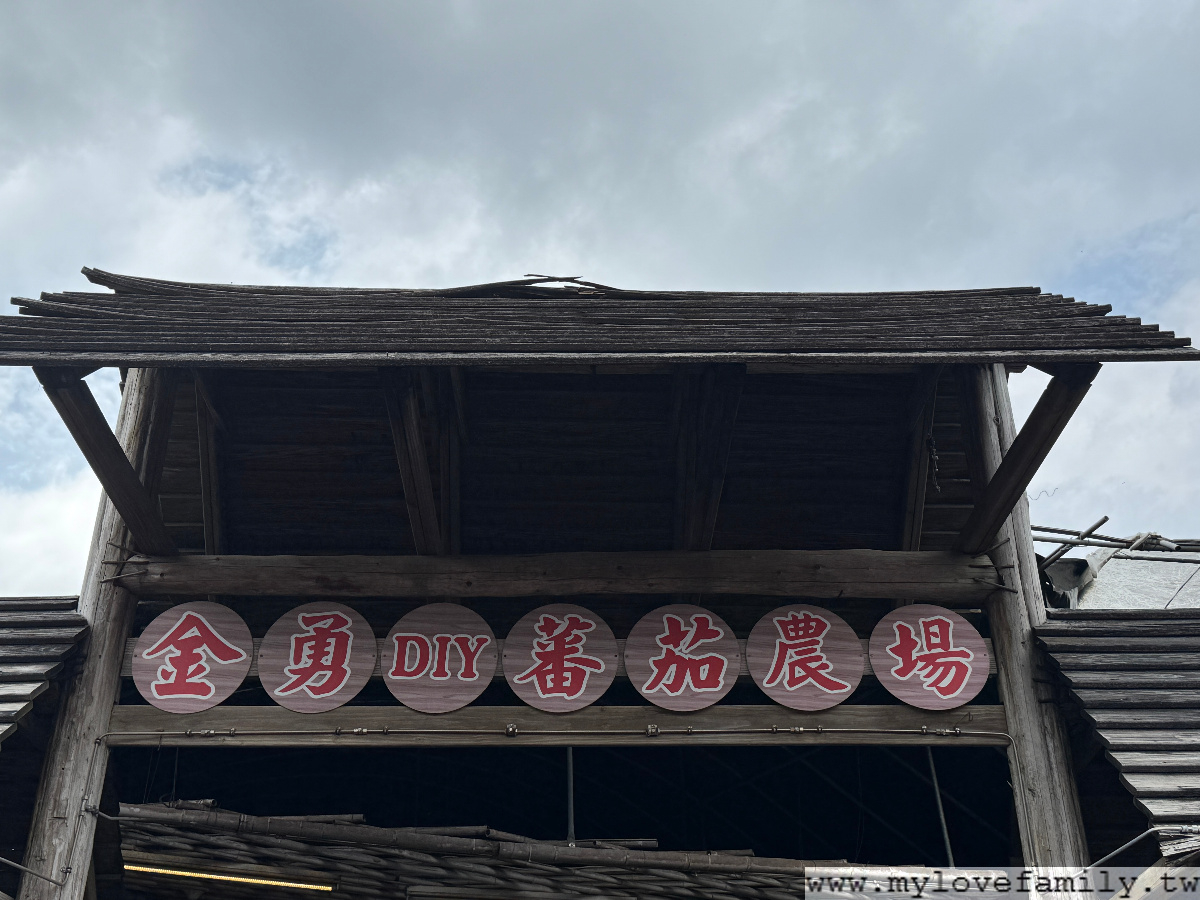 金勇DIY蕃茄農場