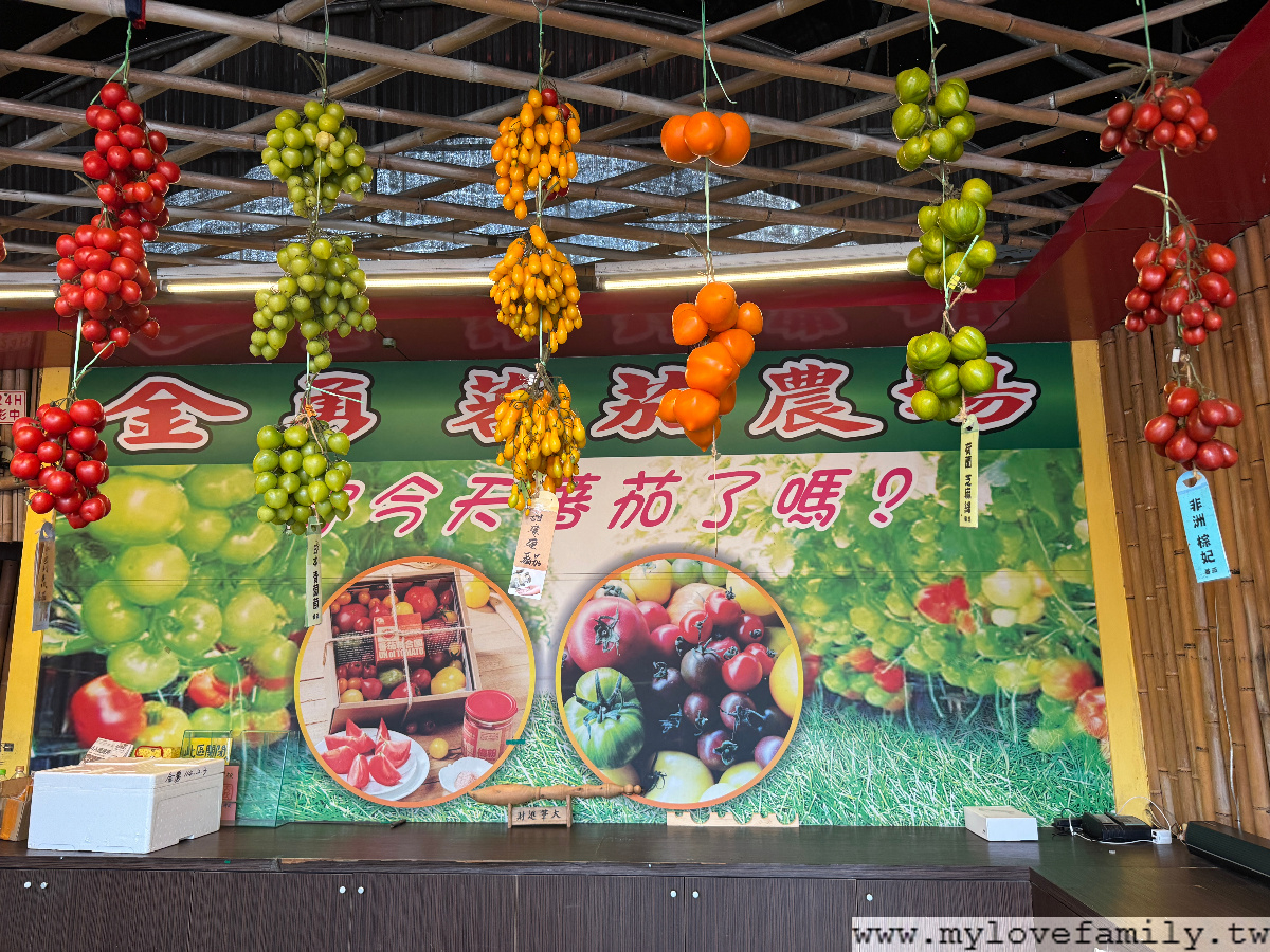 金勇DIY蕃茄農場