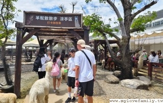 IMG_20250827_115514